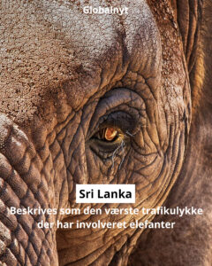 Global Nyt - instaopslag_Page_1
